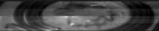 wpeD5.jpg (2385 bytes)