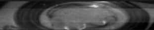 wpeDC.jpg (2233 bytes)