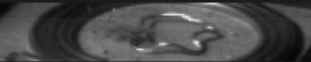 wpeDF.jpg (2287 bytes)